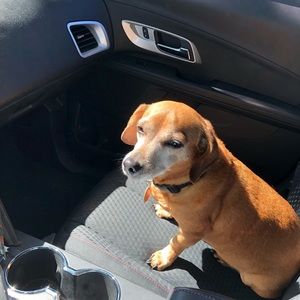 Meet your Posher, Barbara